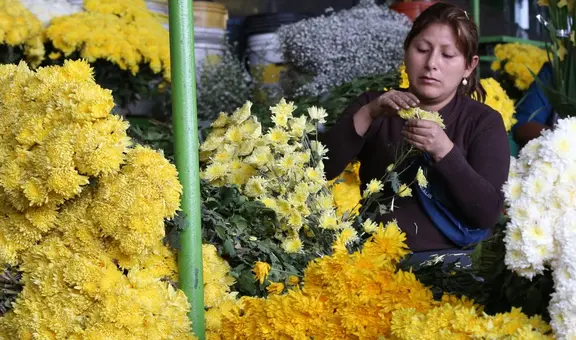 ¿Cuándo se dan las flores amarillas, por qué y en qué países de América Latina se celebra esta tradición?