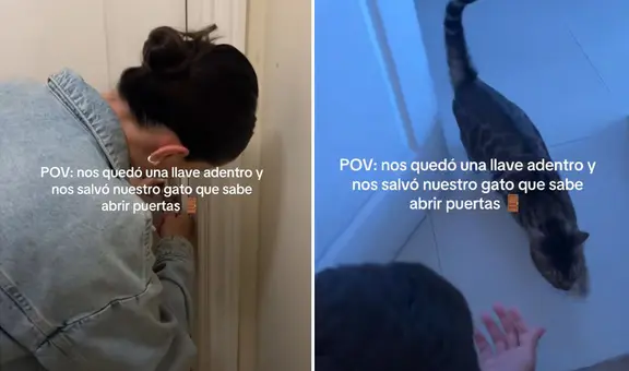 Gatito sorprende al abrirle la puerta a dueños que olvidaron la llave: “Michi cerrajero"
