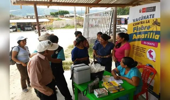 Minsa lanza alerta por aumento de casos de fiebre amarilla en zonas de Amazonas, Huánuco y San Martín