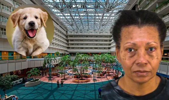 Crueldad animal en Florida: mujer detenida en Aeropuerto Internacional de Orlando por asfixiar a su perro en un inodoro