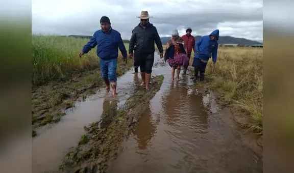 Puno: lluvias inundan pueblos y arrasan viviendas, colegios y sembríos