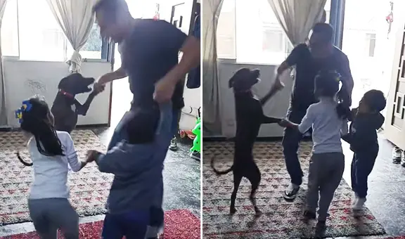 Perro sorprende a su familia al jugar 'lobo, ¿qué estás haciendo?' y escena es viral: "Un niño más"