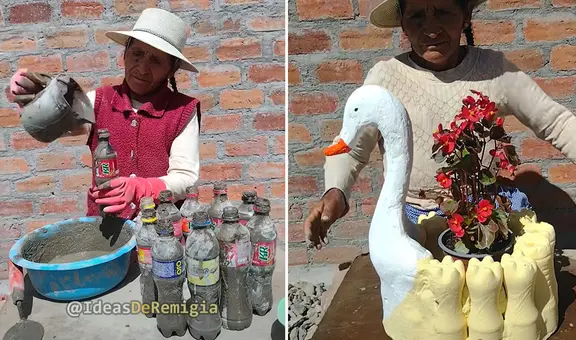 Adulta mayor sorprende al convertir botellas de plástico en un adorable macetero: “Peruana luchadora”