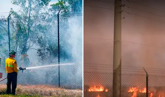 Incendio forestal en Miami-Dade: bomberos contienen fuego al 50% y alertan que humo se seguirá expandiendo por varios días
