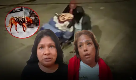 Drogan, torturan y asesinan a anciano: capturan a peperas tras identificar a su mascota en el Callao