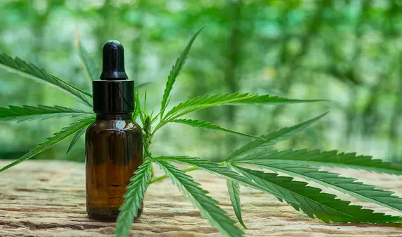 Aviso importante en Nueva York: Kathy Hochul firma 2 leyes para expandir el mercado agrícola de cannabis en el estado