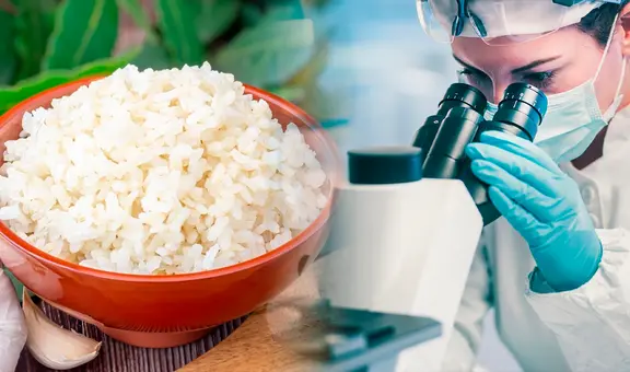 Ordenan retirar popular marca de arroz de los supermercados en España: contendría alérgenos