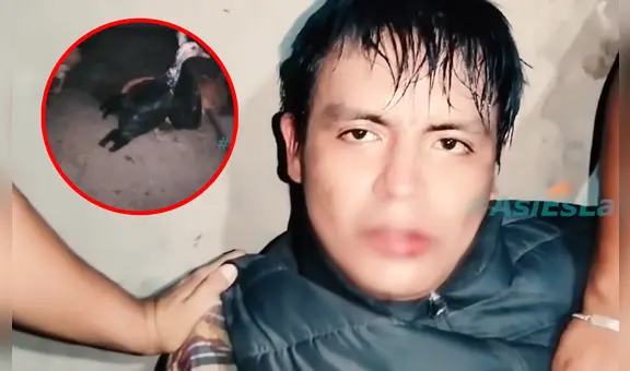 Capturan a sujeto que escondía 28 kilos de marihuana en corral de aves en Trujillo: “Yo fumo y consumo"