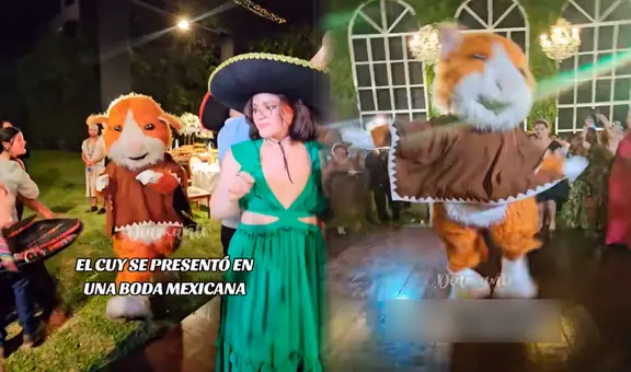 Cuy se presenta para animar una boda mexicana y en redes bromean: “El capibara lo dejó sin chamba en Perú”