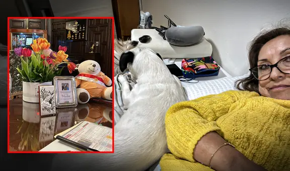 Revelan nuevas fotografías de Dina Boluarte: imágenes estaban almacenadas en cuenta de iCloud que testigo entregó a la Fiscalía