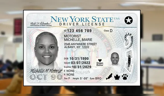 Licencia de Conducir en Nueva York: precios, requisitos y dónde tramitarla fácilmente, incluidos inmigrantes