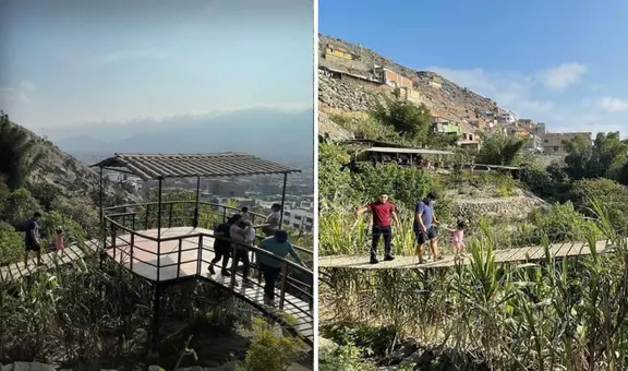 Mujer peruana reveló cómo creó una selva escondida entre los cerros de San Juan de Lurigancho con más de 100 variedades de plantas: "Fue como un juego"