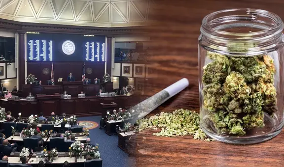 ¡Atención, Florida! Proponen prohibir la venta de productos relacionados a la droga del THC por razones de seguridad pública