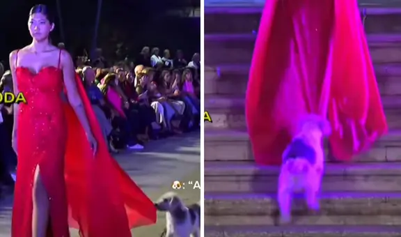 ‘Firulais’ mordió vestido de modelo en pleno desfile y usuarios dicen: "Le dio calambre en los ojos"