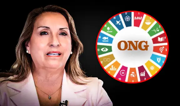 Colectivos de la sociedad civil piden al Gobierno de Dina Boluarte observar ley que somete a las ONG