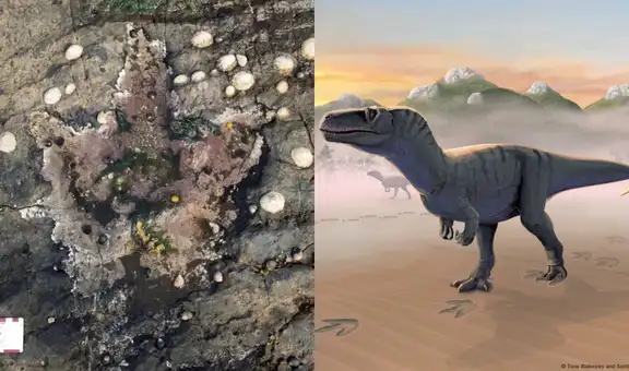 Huellas halladas en Escocia muestran cómo convivían los dinosaurios hace más de 100 millones de años