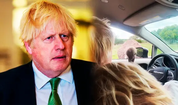 Boris Johnson sufre ataque de avestruz cuando pasaba momento familiar en Texas: así reaccionó el exprimer ministro británico