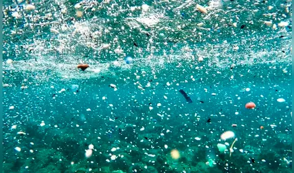 Geólogos marinos advierten que avalanchas submarinas transportan microplásticos, según nuevo estudio científico