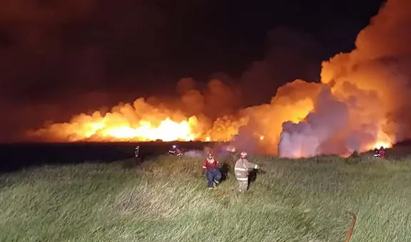 Arequipa: incendio arrasa más de 15 hectáreas del Santuario Nacional Lagunas de Mejía