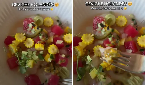 Peruana pidió ceviche en restaurante de Holanda y lo que le traen la deja en shock: "Tiene sandía y maracuyá"