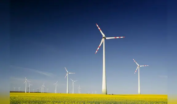 Retos de sostenibilidad: ¿están listas las empresas peruanas?