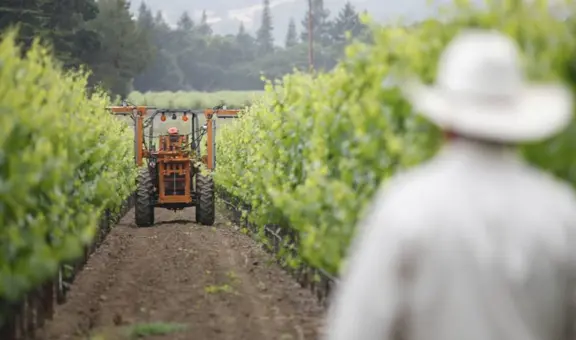 Este es el negocio en California que podría renacer en 2025 en medio de los nuevos aranceles de Trump
