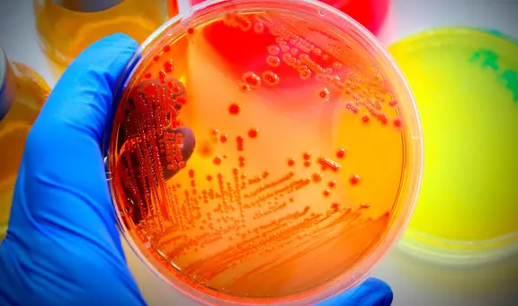 Alerta sanitaria en Florida: la bacteria que podría entrar a tu cuerpo, si no hierves el agua, según autoridades municipales