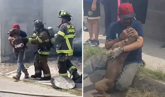 Hombre llora de emoción al ver a su perrito vivo tras ser rescatado de incendio: "Lloramos todos"