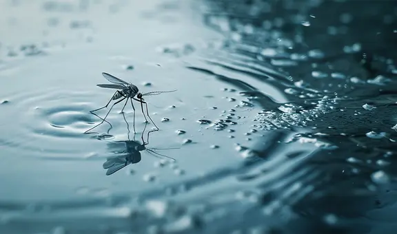 Vacuna GRATIS contra la fiebre amarilla en Bogotá 2025: este el nuevo requisito que exigen los médicos en Colombia