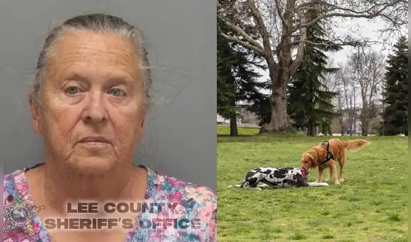 Arrestan a mujer en Florida por rociar gas pimienta a varios perros: fue vetada del parque por crueldad animal