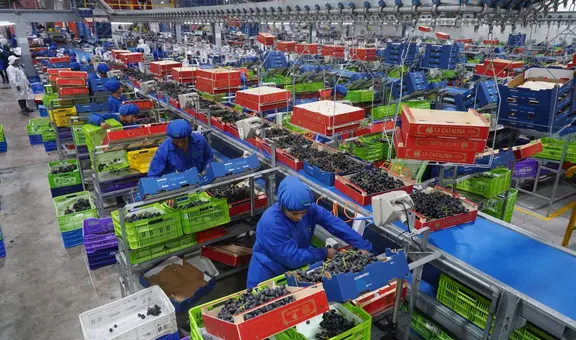 Exportaciones regionales superan los US$10.000 millones: Ica y Arequipa siguen liderando envíos