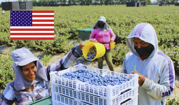 Esta región peruana concentra la mayoría de sus exportaciones hacia Estados Unidos como principal destino: estos son los productos más enviados