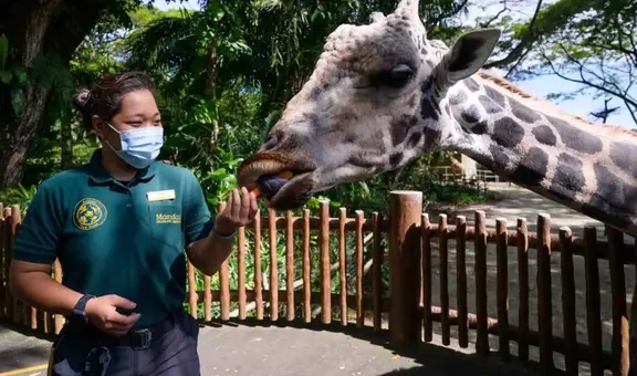 El zoológico más grande del mundo reúne a 2530 animales y necesitas 3 horas para visitarlo: no está en Estados Unidos