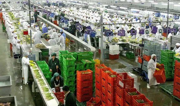 Agroexportaciones superaron los US$2.233 millones: uvas, arándanos y mangos movieron la aguja