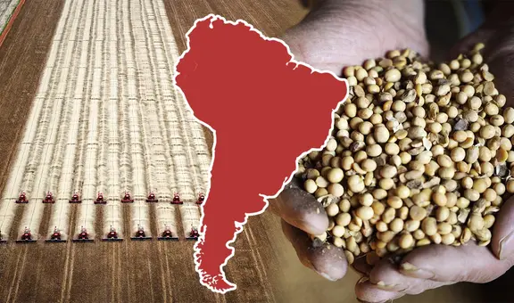 El país de Sudamérica que desplazó a Estados Unidos como el mayor proveedor de soja en plena guerra comercial con China