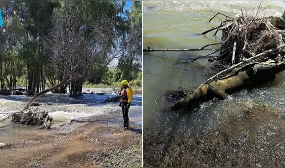 Joven fue reportada como desaparecida en Arequipa y 14 días después hallan su cuerpo en el río Chili
