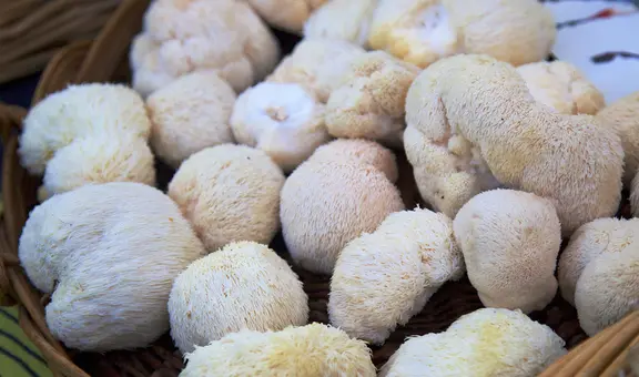 Biólogos australianos descubren un superalimento para el cerebro que mejora la memoria y regenera sus neuronas