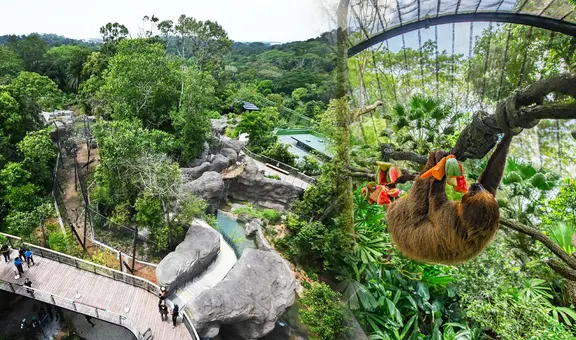 No está en Estados Unidos: el zoológico más grande del mundo reúne a 2530 animales y necesitas 3 horas para visitarlo