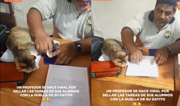 Profesor de colegio sella tarea de sus alumnos con huella de su gato y se vuelve viral en redes: "Todo por sus croquetas"