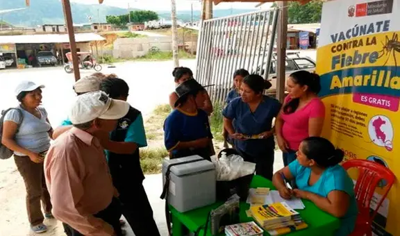 Fiebre amarilla: se registran 37 infectados y 12 muertos en lo que va del 2025 en Perú