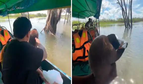 Joven viaja a la selva y encuentra a monito comiendo su bolsa de Cuates: "Le falta su Cifrut"