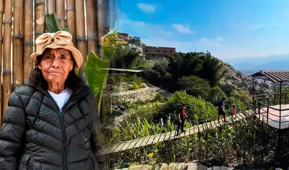 La familia de Ayacucho creó una selva escondida en un cerro de San Juan de Lurigancho: sembró 100 especies de plantas por más de 40 años