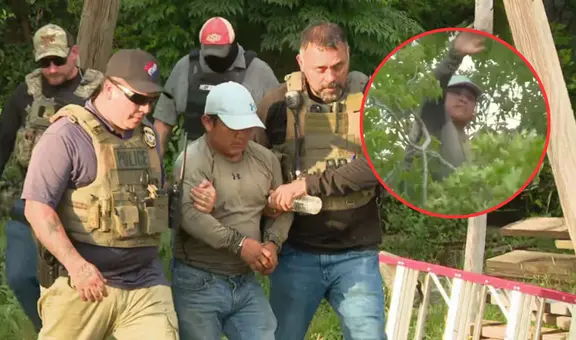 Redadas ICE: inmigrante guatemalteco se esconde en un árbol durante 8 horas para evitar ser detenido y deportado en Texas