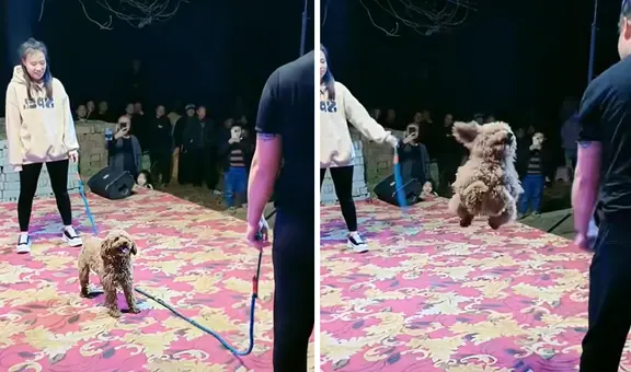 Perrito emociona en redes al saltar perfectamente la cuerda en competencia: "Se robó el show"