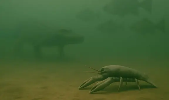 Científicos descubren en Nueva Zelanda fósiles de cangrejos prehistóricos gigantes que triplican a la especie actual