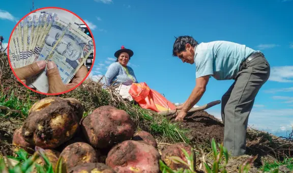 Nuevo bono de S/1.000 se entregará a estos beneficiarios en Perú: ¿cuáles son los requisitos para acceder al subsidio?