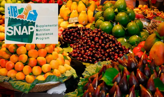 SNAP en Florida 2025: conoce el cronograma de pagos de beneficios para el mes de mayo