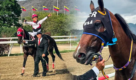 ¿Cuánto pagó el 5y6 de hoy en La Rinconada? Cuadros, dividendos actualizados y monto sellado superior a 60 millones este 4 de mayo