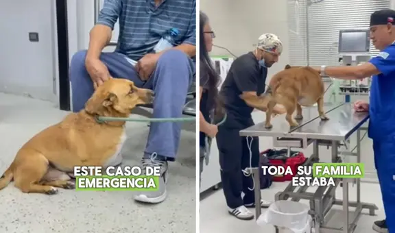 Dueños sacaron a pasear a su perrito, pero al volver descubrieron algo extraño: "Tengan mucho cuidado"