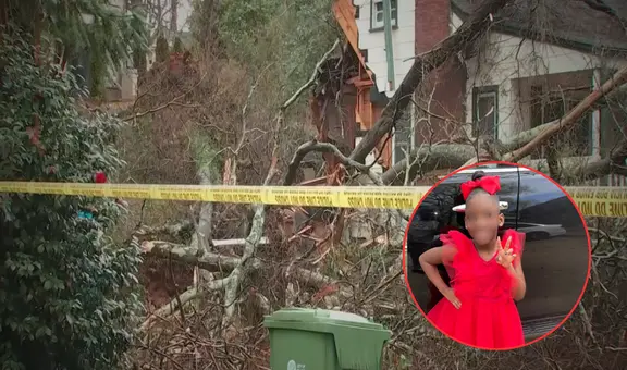 Niña muere tras ser aplastada por árbol dentro de su casa en Atlanta: madre y abuela resultaron heridas